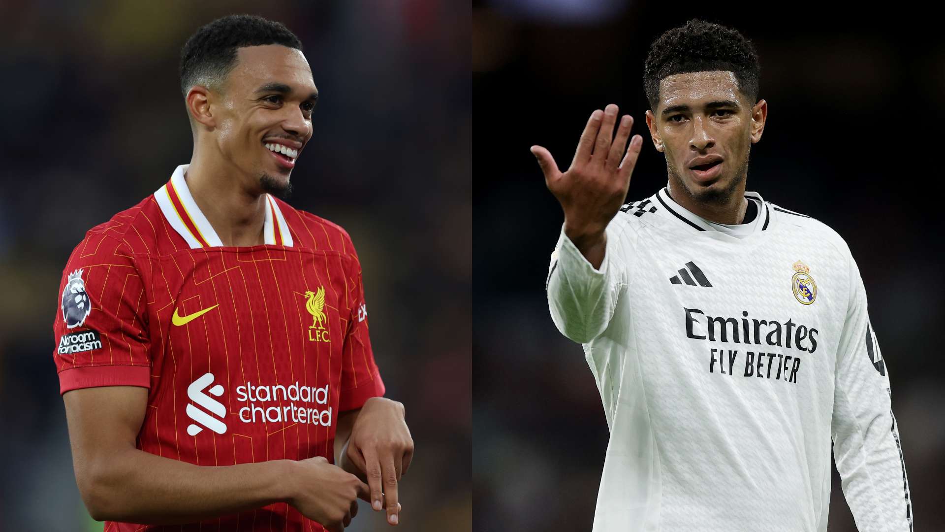 文进行总结 文进行总结