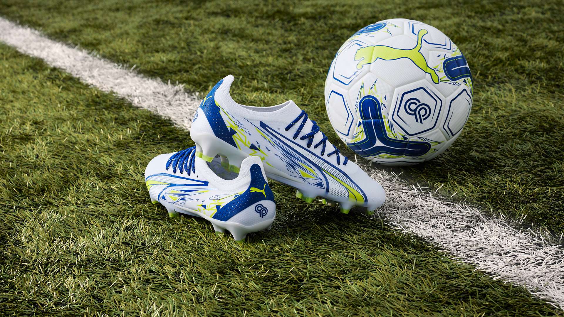 围内都取得 围内都取得